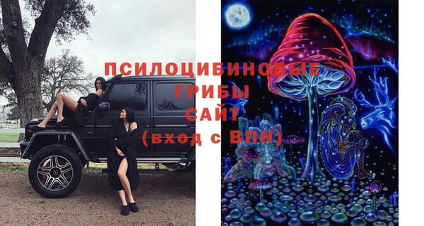 дурь Богданович