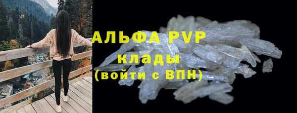 гидра Богородицк