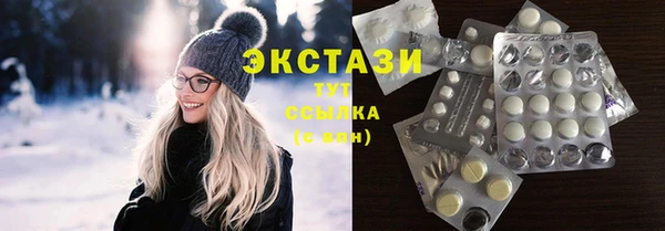 гидра Богородицк