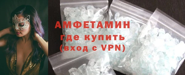 гидра Богородицк
