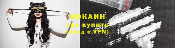 mdpv Богородск