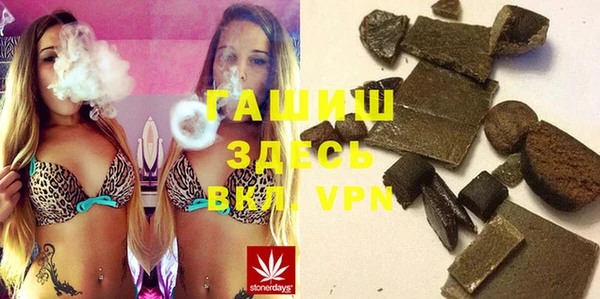 гидра Богородицк