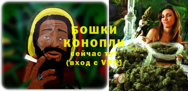 дурь Богданович