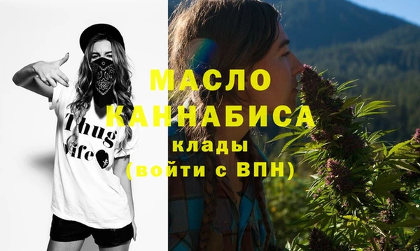 гидра Богородицк