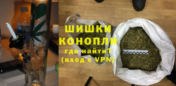 гидра Богородицк