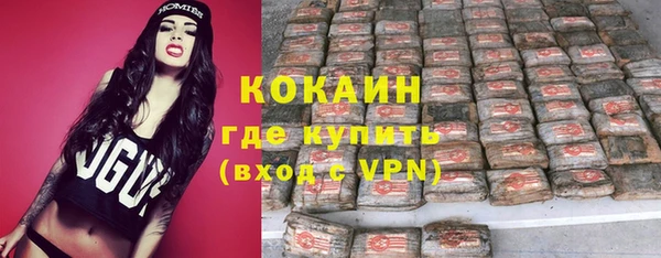 гидра Богородицк