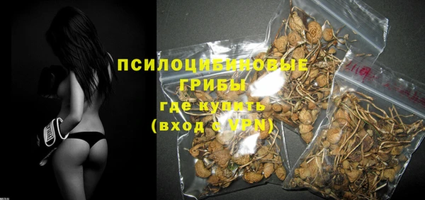 дурь Богданович