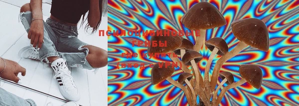 дурь Богданович