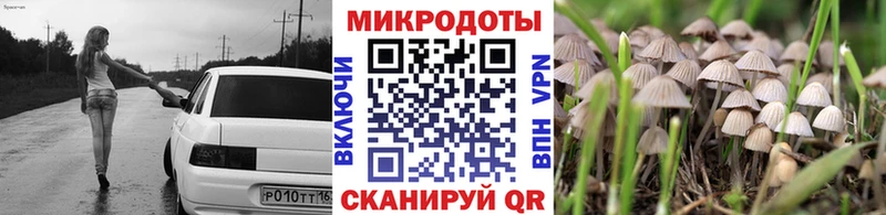Купить  Западная Двина  Галлюциногенные грибы ЛСД 
